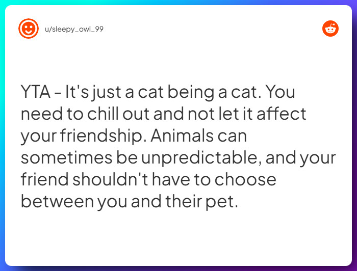 Comment from u/sleepy_owl_99