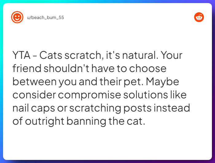 Comment from u/beach_bum_55