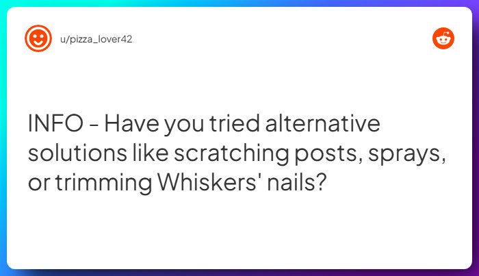 Comment from u/pizza_lover42