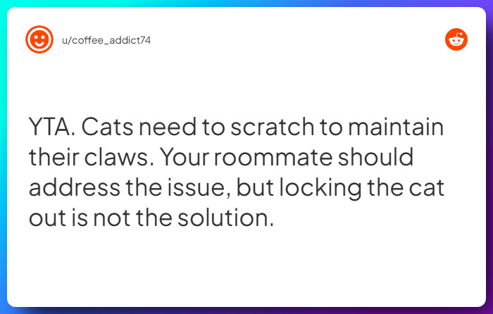 Comment from u/coffee_addict74