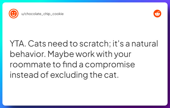 Comment from u/chocolate_chip_cookie