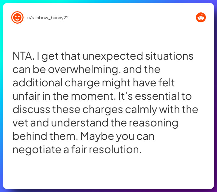 Comment from u/rainbow_bunny22