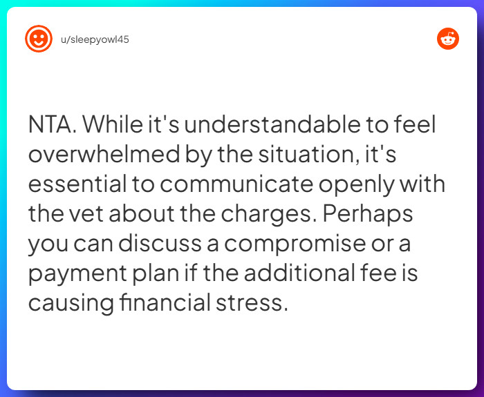 Comment from u/sleepyowl45