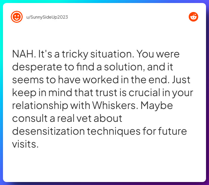 Comment from u/SunnySideUp2023