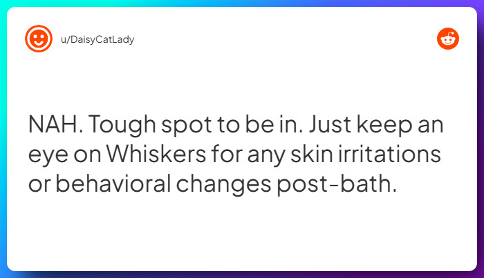 Comment from u/DaisyCatLady