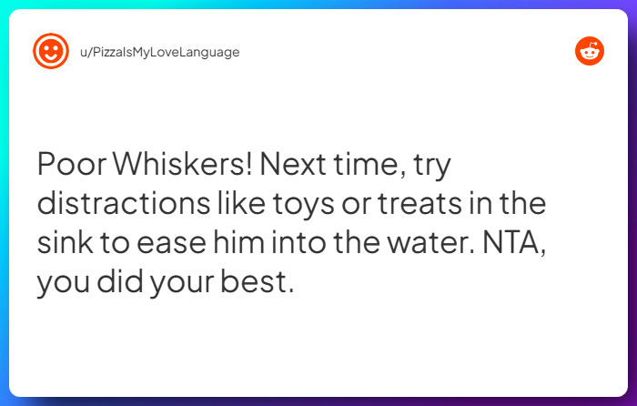 Comment from u/PizzaIsMyLoveLanguage