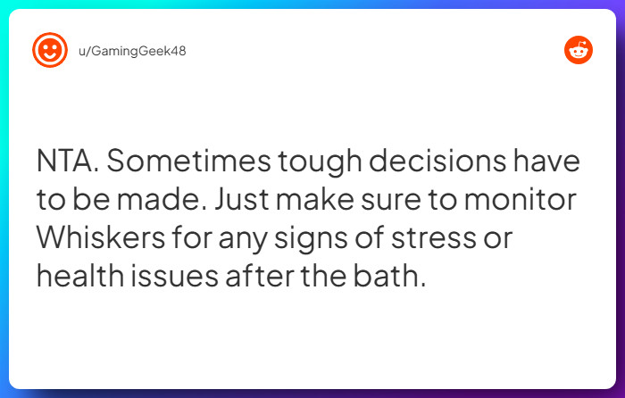 Comment from u/GamingGeek48