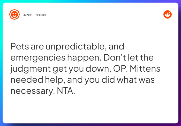 Comment from u/zen_master