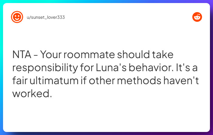 Comment from u/sunset_lover333