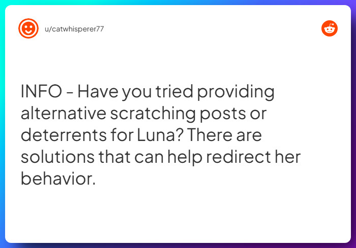 Comment from u/catwhisperer77