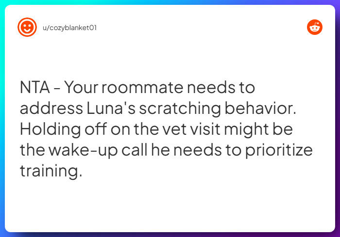 Comment from u/cozyblanket01