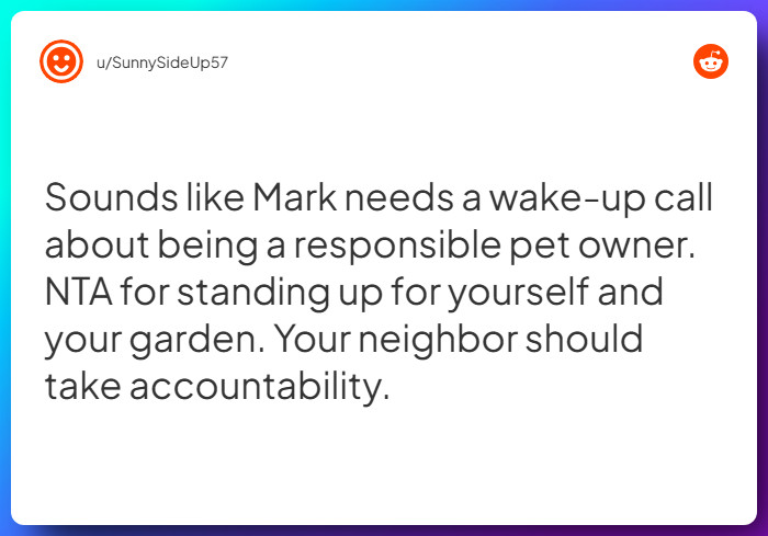 Comment from u/SunnySideUp57