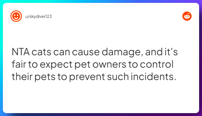 Comment from u/skydiver123