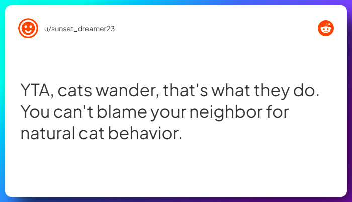 Comment from u/sunset_dreamer23