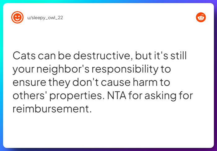 Comment from u/sleepy_owl_22