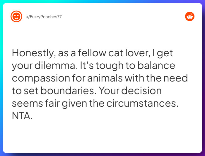 Comment from u/FuzzyPeaches77