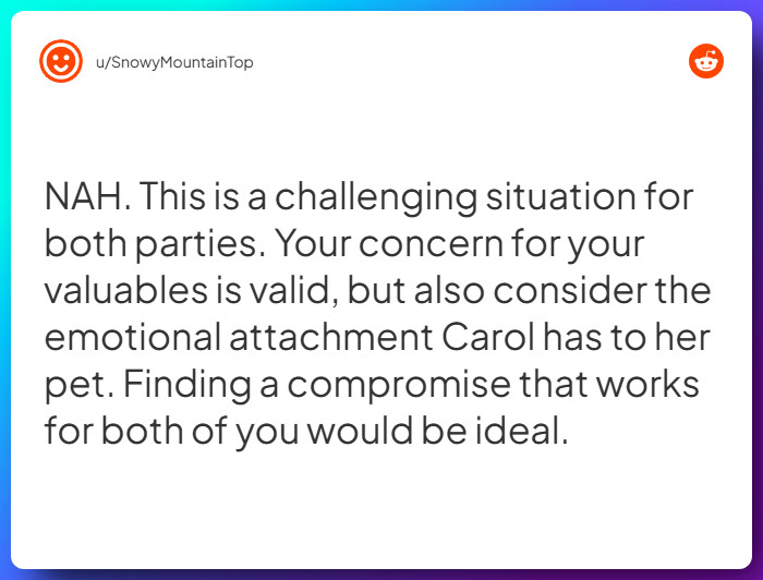 Comment from u/SnowyMountainTop