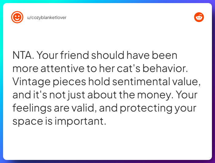 Comment from u/cozyblanketlover