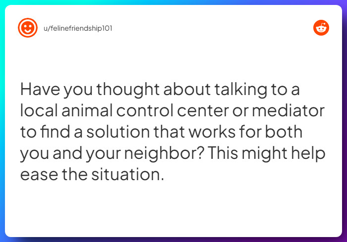 Comment from u/felinefriendship101