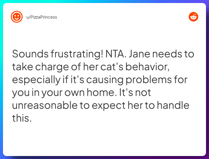 Comment from u/PizzaPrincess