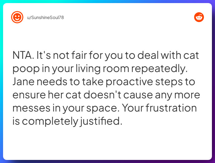 Comment from u/SunshineSoul78