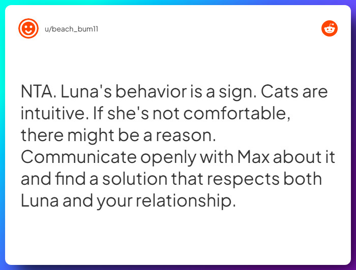 Comment from u/beach_bum11