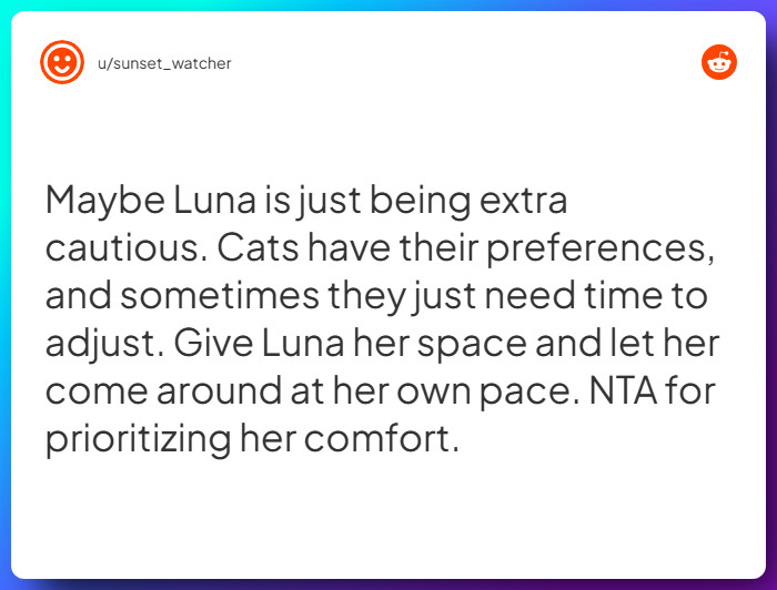 Comment from u/sunset_watcher