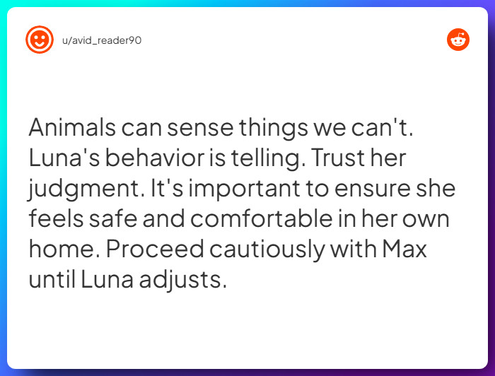 Comment from u/avid_reader90