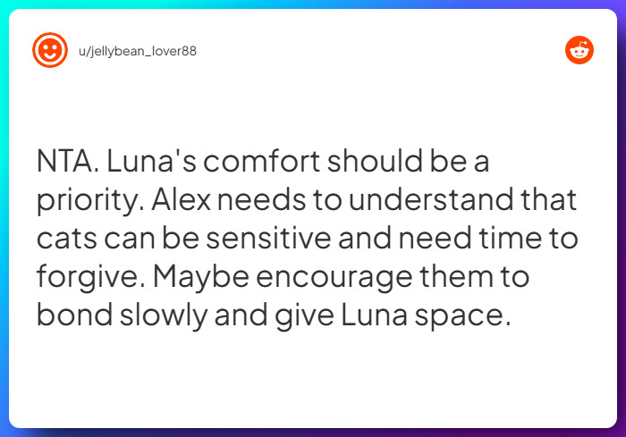 Comment from u/jellybean_lover88