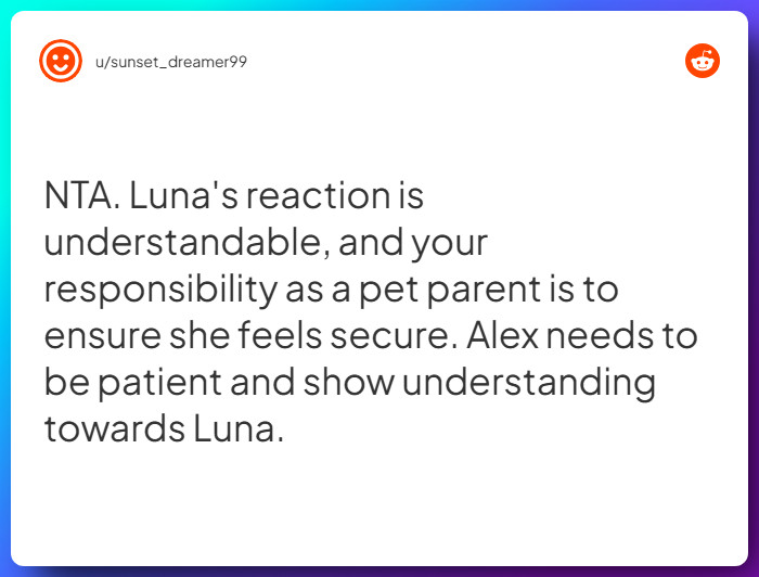 Comment from u/sunset_dreamer99