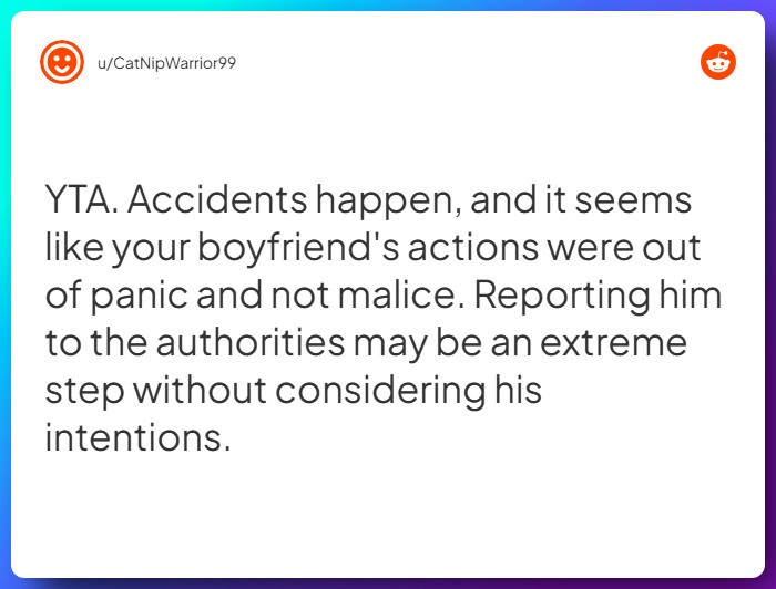 Comment from u/CatNipWarrior99