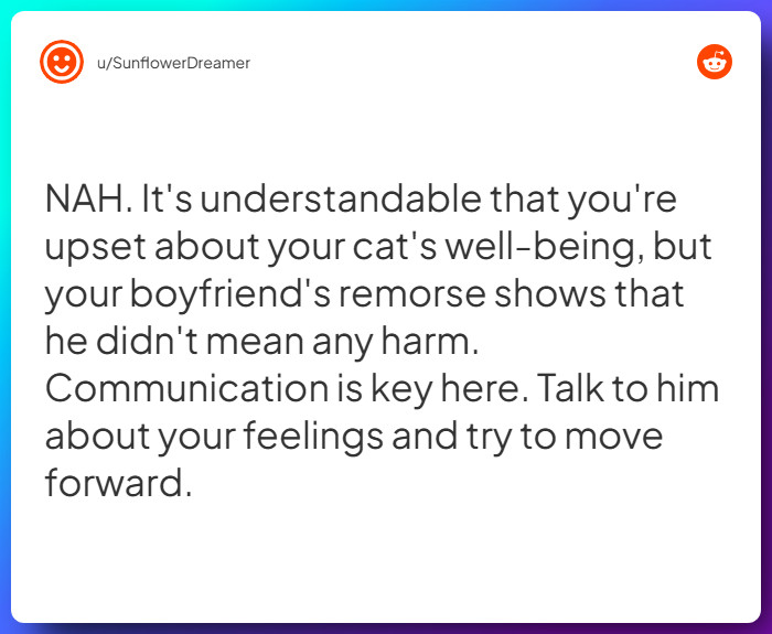 Comment from u/SunflowerDreamer