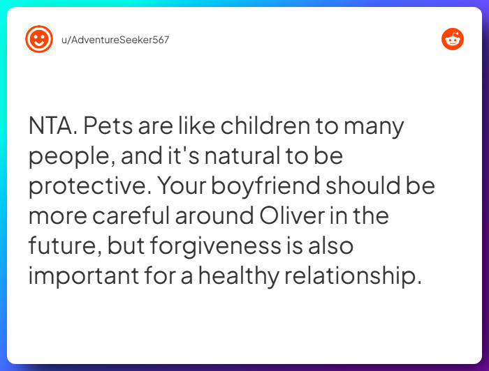 Comment from u/AdventureSeeker567