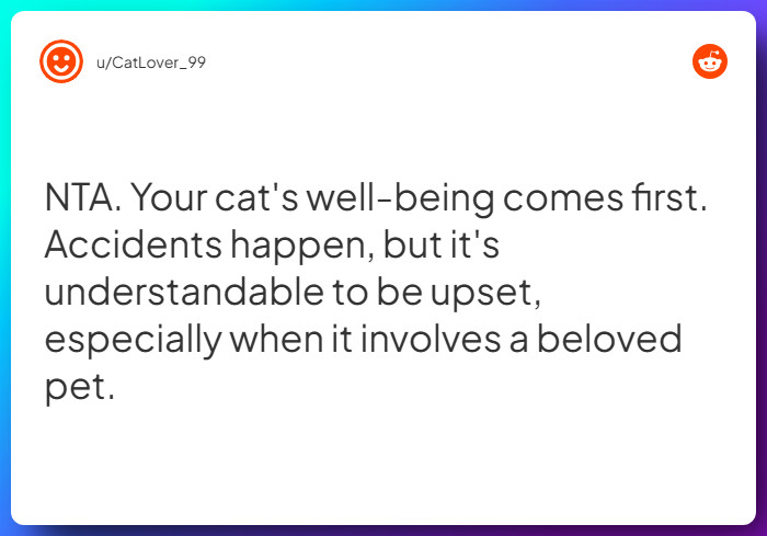 Comment from u/CatLover_99