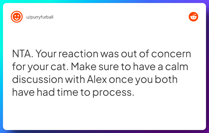 Comment from u/purryfurball