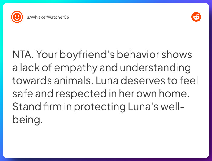 Comment from u/WhiskerWatcher56