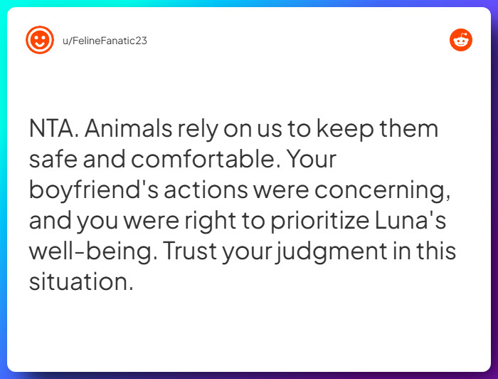 Comment from u/FelineFanatic23