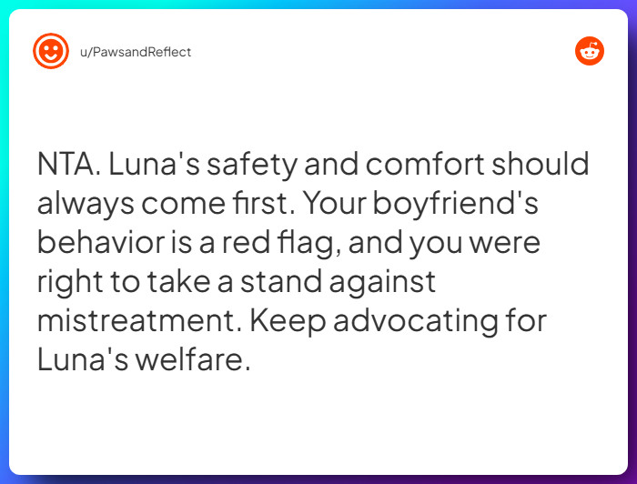 Comment from u/PawsandReflect