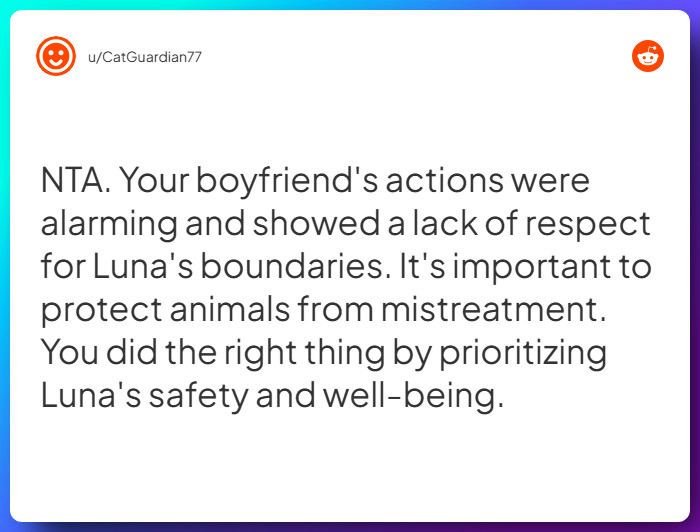 Comment from u/CatGuardian77