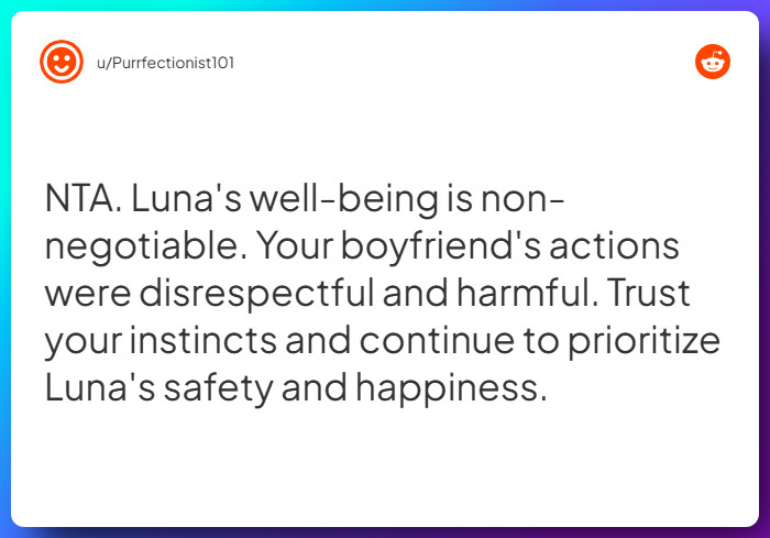 Comment from u/Purrfectionist101