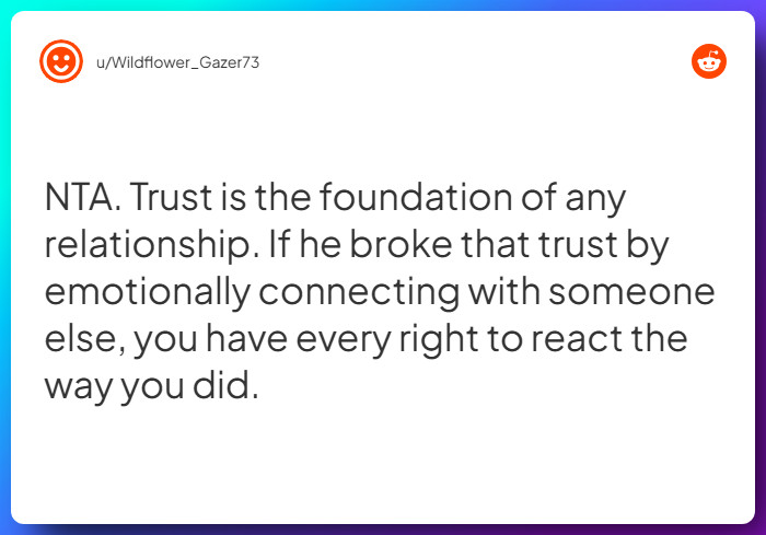 Comment from u/Wildflower_Gazer73