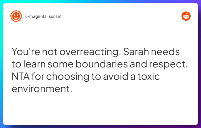 Comment from u/magenta_sunset