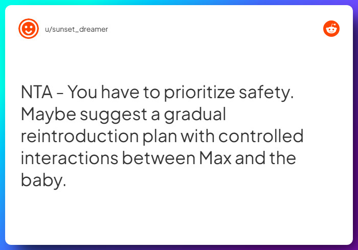 Comment from u/sunset_dreamer