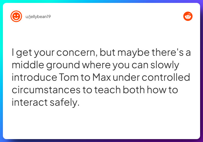 Comment from u/jellybean19