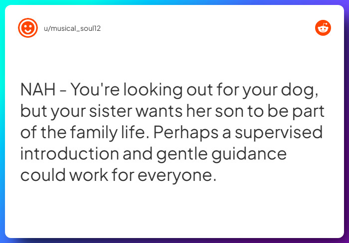 Comment from u/musical_soul12