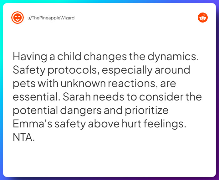 Comment from u/ThePineappleWizard