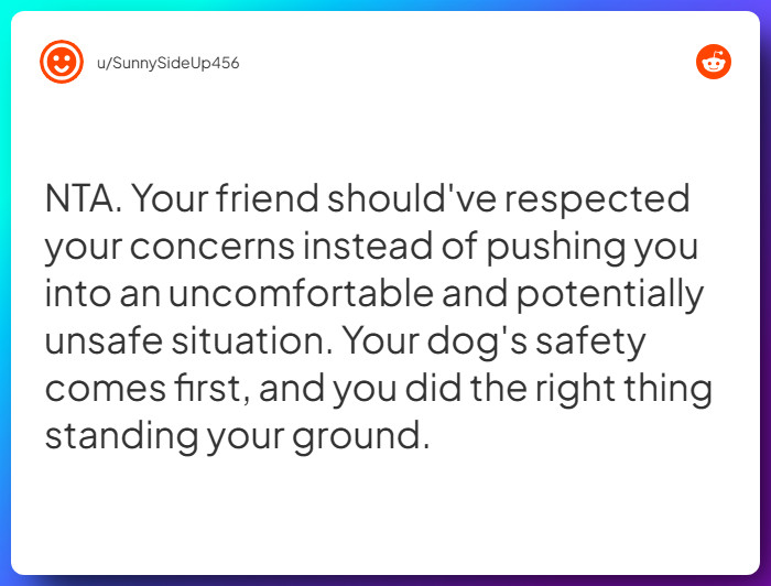 Comment from u/SunnySideUp456