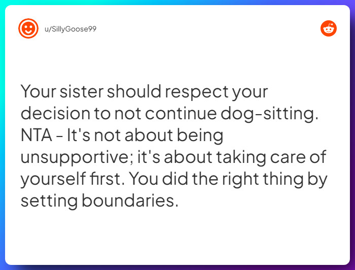 Comment from u/SillyGoose99