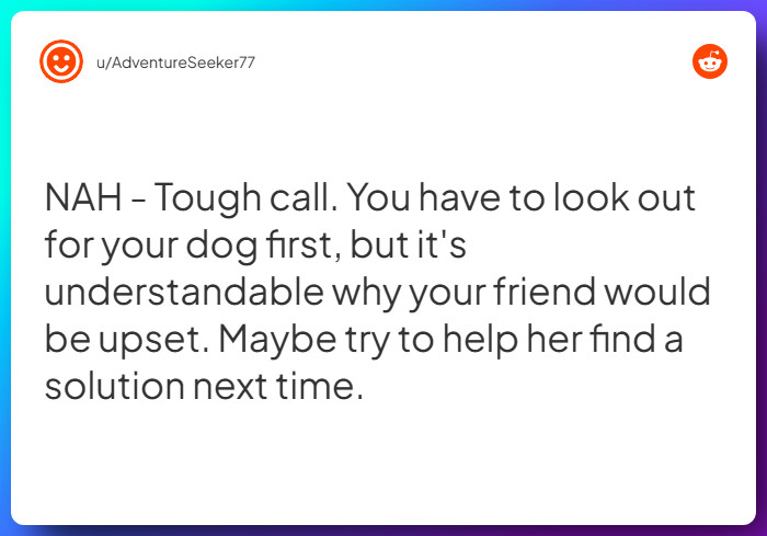 Comment from u/AdventureSeeker77