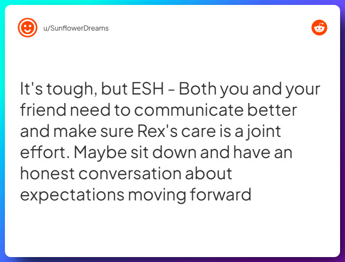 Comment from u/SunflowerDreams